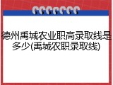 德州禹城农业职高录取线是多少(禹城农职录取线)