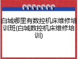 白城哪里有数控机床维修培训班(白城数控机床维修培训)