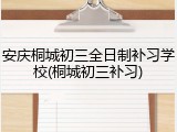 安庆桐城初三全日制补习学校(桐城初三补习)