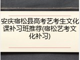 安庆宿松县高考艺考生文化课补习班推荐(宿松艺考文化补习)