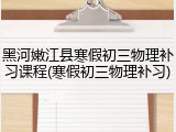 黑河嫩江县寒假初三物理补习课程(寒假初三物理补习)