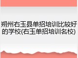 朔州右玉县单招培训比较好的学校(右玉单招培训名校)