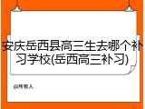 安庆岳西县高三生去哪个补习学校(岳西高三补习)