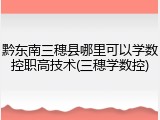 黔东南三穗县哪里可以学数控职高技术(三穗学数控)