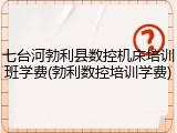 七台河勃利县数控机床培训班学费(勃利数控培训学费)