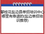 攀枝花盐边县单招培训中心哪里有靠谱的(盐边单招培训推荐)