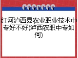 红河泸西县农业职业技术中专好不好(泸西农职中专如何)