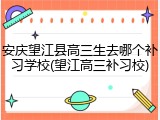 安庆望江县高三生去哪个补习学校(望江高三补习校)