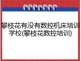 攀枝花有没有数控机床培训学校(攀枝花数控培训)