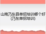山南乃东县单招培训哪个好(乃东单招培训)