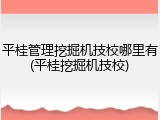 平桂管理挖掘机技校哪里有(平桂挖掘机技校)