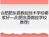 合肥肥东县数控技术学校哪家好一点(肥东县数控学校推荐)
