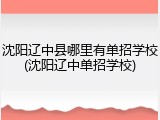 沈阳辽中县哪里有单招学校(沈阳辽中单招学校)