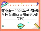河池宜州2026年单招培训学校有哪些(宜州单招培训学校)