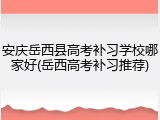 安庆岳西县高考补习学校哪家好(岳西高考补习推荐)