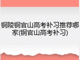 铜陵铜官山高考补习推荐哪家(铜官山高考补习)