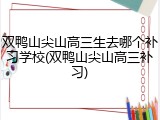 双鸭山尖山高三生去哪个补习学校(双鸭山尖山高三补习)