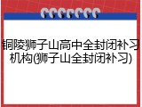 铜陵狮子山高中全封闭补习机构(狮子山全封闭补习)