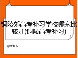 铜陵郊高考补习学校哪家比较好(铜陵高考补习)
