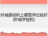 叶城县挖机上哪里学比较好(叶城学挖机)