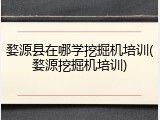 婺源县在哪学挖掘机培训(婺源挖掘机培训)