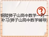 铜陵狮子山高中数学一对一补习(狮子山高中数学辅导)