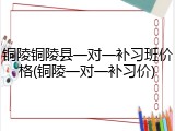 铜陵铜陵县一对一补习班价格(铜陵一对一补习价)