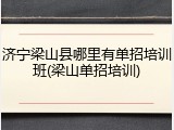 济宁梁山县哪里有单招培训班(梁山单招培训)