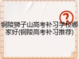 铜陵狮子山高考补习学校哪家好(铜陵高考补习推荐)