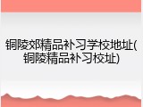 铜陵郊精品补习学校地址(铜陵精品补习校址)