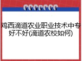 鸡西滴道农业职业技术中专好不好(滴道农校如何)