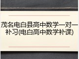 茂名电白县高中数学一对一补习(电白高中数学补课)