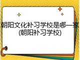 朝阳文化补习学校是哪一家(朝阳补习学校)