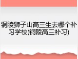 铜陵狮子山高三生去哪个补习学校(铜陵高三补习)
