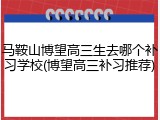 马鞍山博望高三生去哪个补习学校(博望高三补习推荐)