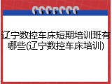 辽宁数控车床短期培训班有哪些(辽宁数控车床培训)