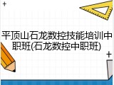 平顶山石龙数控技能培训中职班(石龙数控中职班)