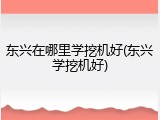 东兴在哪里学挖机好(东兴学挖机好)