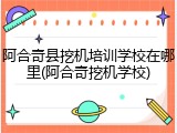 阿合奇县挖机培训学校在哪里(阿合奇挖机学校)