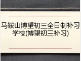 马鞍山博望初三全日制补习学校(博望初三补习)