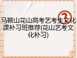 马鞍山花山高考艺考生文化课补习班推荐(花山艺考文化补习)