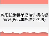 咸阳长武县单招培训机构哪家好(长武单招培训优选)