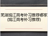芜湖鸠江高考补习推荐哪家(鸠江高考补习推荐)