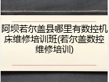 阿坝若尔盖县哪里有数控机床维修培训班(若尔盖数控维修培训)
