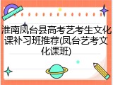 淮南凤台县高考艺考生文化课补习班推荐(凤台艺考文化课班)
