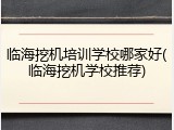 临海挖机培训学校哪家好(临海挖机学校推荐)