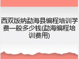 西双版纳勐海县编程培训学费一般多少钱(勐海编程培训费用)
