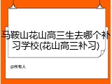 马鞍山花山高三生去哪个补习学校(花山高三补习)