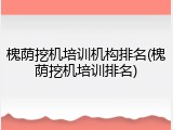 槐荫挖机培训机构排名(槐荫挖机培训排名)