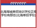 北海海城单招培训学校正规学校有那些(北海单招学校)